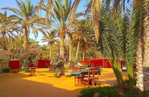 Day Trip in Ksar Ghilane with Lunch and Pickup