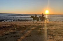 Agadir & Taghazout : Quad Bike & Horse Ride On The Beach