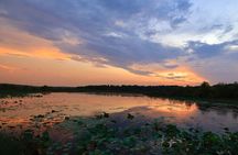 LookAbout Darwin, Wetlands & Wildlife Premium Tour - Max 6 Guests