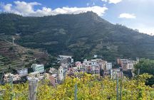 Semi-Private Guided Hiking Cinque Terre Tour from Florence