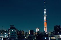Tokyo Private Tour GREEN NUMBER PLATES
