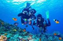 Underwater Paradise Snorkeling Adventure to Samadai Reef in Marsa