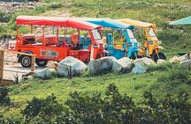 Tuk-Tuk Adventures Rainforest and Beach Hopping Tour