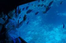 2 Hours Semi Submarine Tour With Transfer from Sharm El-Sheikh 