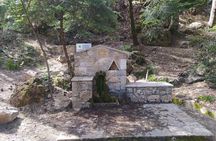 1 Day Parnitha Athens Private Hiking Tour with Hotel Pickup