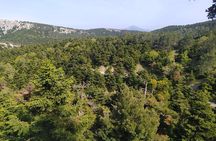 1 Day Parnitha Athens Private Hiking Tour with Hotel Pickup