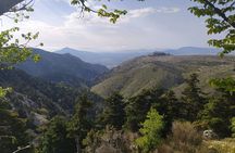 1 Day Parnitha Athens Private Hiking Tour with Hotel Pickup