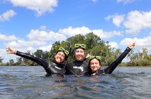Crystal River Manatee Swim – 3 Hours, Maximum 6 Guests