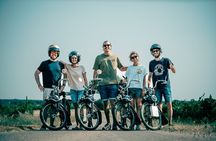 A Tour in Provence in a typical French motorized bike : the Solex