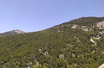 1 Day Parnitha Athens Private Hiking Tour with Hotel Pickup