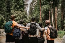 Yosemite Highlights & Giant Sequoias Day Tour from San Francisco