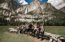Yosemite and Giant Sequoias Day Tour from San Francisco w Pickup
