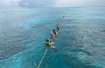 Snorkel Tours to Key Largo reef for up to 6 people-INCLUDES GEAR!