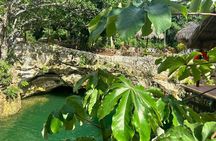 Adventure Experience in Three Cenotes and Tequila Tasting