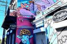 Half-Day: Old San Juan, Calle Cerra,Santurce, La Placita & Loíza 