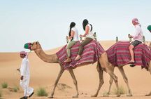 Red Desert Safari With Camel Ride & Sand Skiing