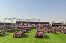 Evening Desert Safari Tour with BBQ Dinner and Live Show in Dubai