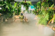 Cloud Hunting - Experience Dalat Special Products 