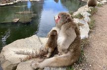 Full Day Snow Monkey Park Tour, From/To Tokyo, 2-12 guests