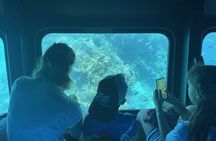 Sea Scope Semi Submarine Snorkelling Sea Trip from Sharm ElShiekh