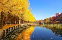 Nami Island & Petite France with Italian Village One-Day Tour 