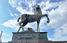 From Sorrento Pompeii tour with Wine and Olive oil tasting