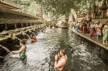 Half Day Tour: Discover Best of Ubud in 5 Hours