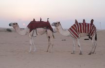 Premium PVT Desert Safari Experience