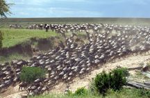 4-Day Tour to Tarangire, Serengeti and Ngorongoro