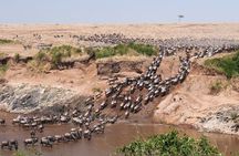 4-Day Tour to Tarangire, Serengeti and Ngorongoro