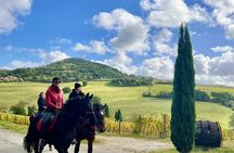 Horseback riding in Montepulciano Tuscany, lunch on the farm