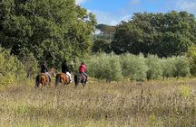 Horseback riding in Montepulciano Tuscany, lunch on the farm