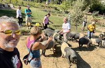 Horseback riding in Montepulciano Tuscany, lunch on the farm