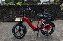  "Bespoke" Private E-Bike Tour Volcano and Waterfalls 