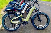  "Bespoke" Private E-Bike Tour Volcano and Waterfalls 