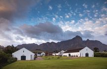 Cape Winelands Wine Tasting Experience 