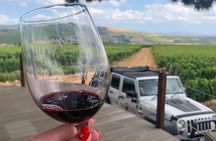 Full Day Stellenbosch Wine Tour