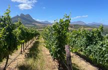 Full Day Stellenbosch Wine Tour