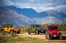 Full Day Stellenbosch Wine Tour