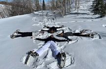 Privately Guided Snowshoe Experience