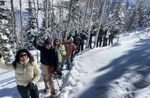 Privately Guided Snowshoe Experience