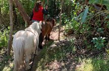 Pony Walking Adventure