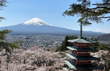 Full Day Mt.Fuji&Hakone Tour, From-To Tokyo, Yokohama, 2-12guests