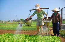 3 Hours Hoi An Countryside Bicycle Tour 