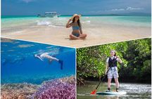 Ishigaki Mangrove SUP or Canoeing and Phantom Island Snorkeling