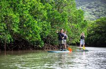 Okinawa Ishigaki Mangrove SUP or Canoe Tour