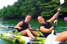 Ishigaki Mangrove SUP or Canoe + Blue Cave Snorkeling