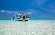 Ishigaki Mangrove SUP or Canoeing and Phantom Island Snorkeling
