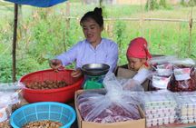 6 - 8 Day Vietnam Itinerary | Magnificent | Best 2025 Northern 