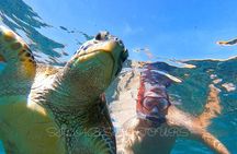 Daymaniyat island Natural Reserve and Dolphin Watching
